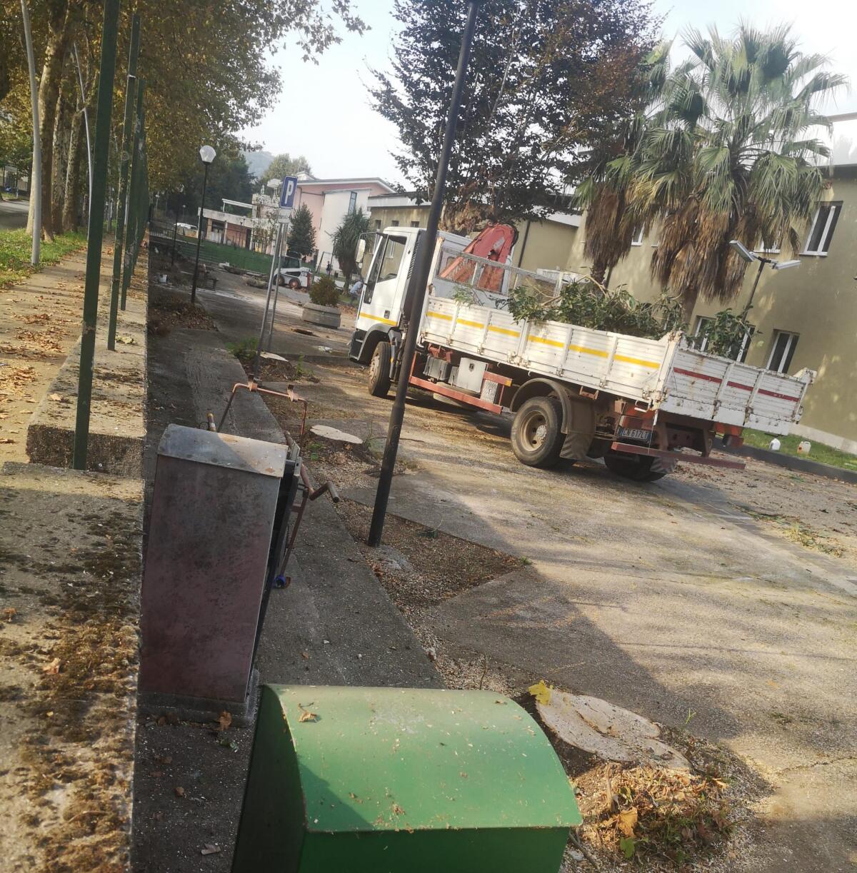 Moiano sempre più Grigia ! - Alberi + Cemento - 