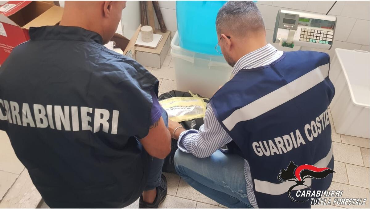 Sequestrati 40 kg di prodotti ittici - 