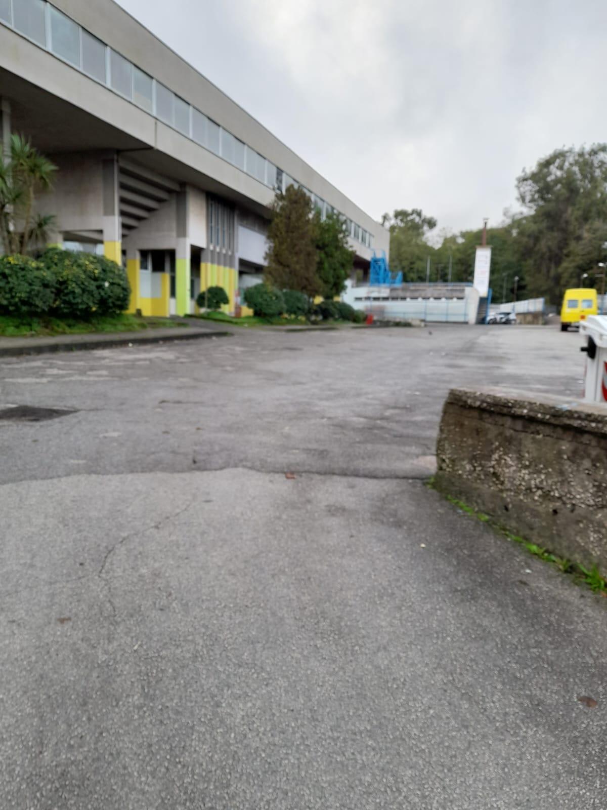 Topi nella scuola: classi vuote e proteste dei genitori - 