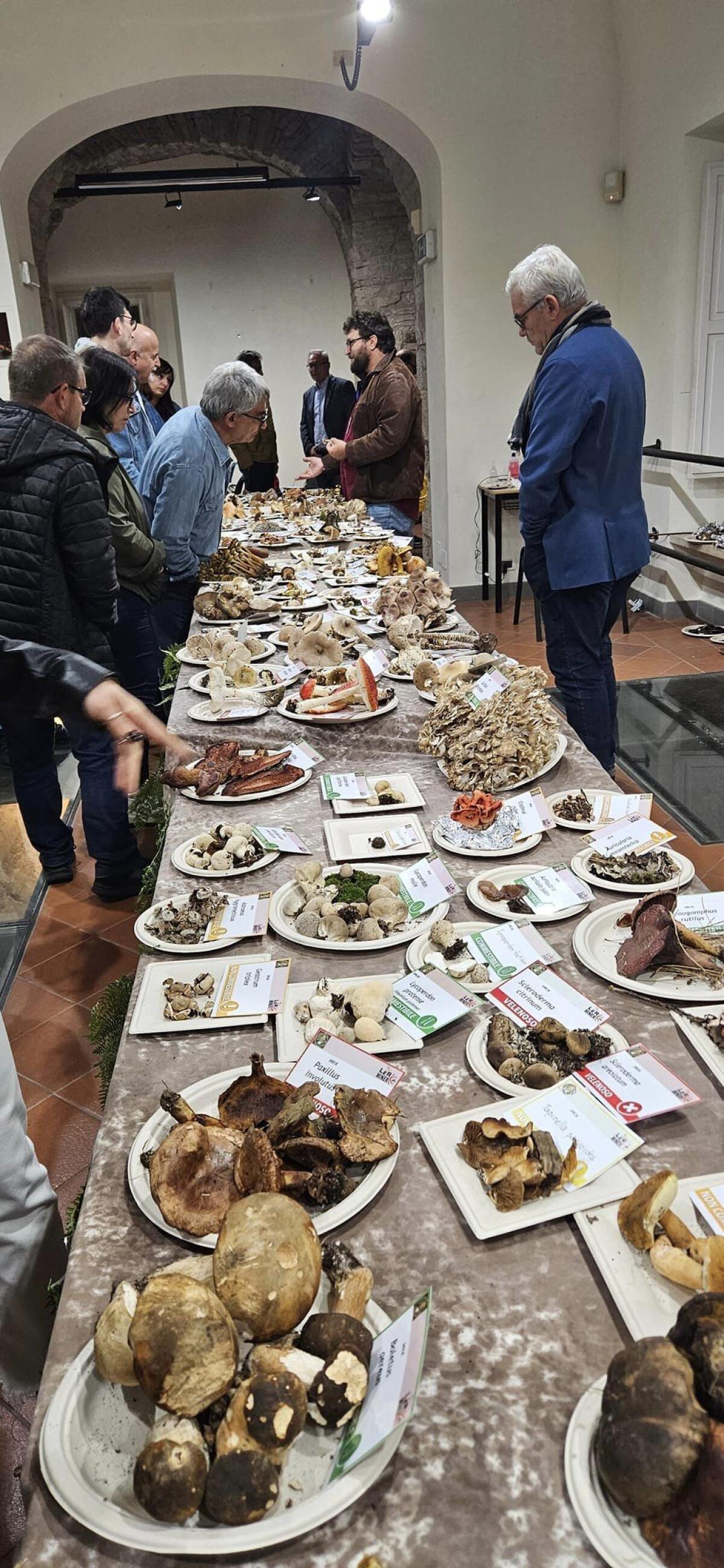 Grande successo di “Buoni da Morire, Incontri Micologici alla Rocca”. - 