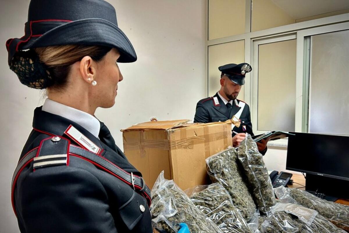 Riceva pacco con 10 chili di droga, 60enne chiama subito il 112 - 