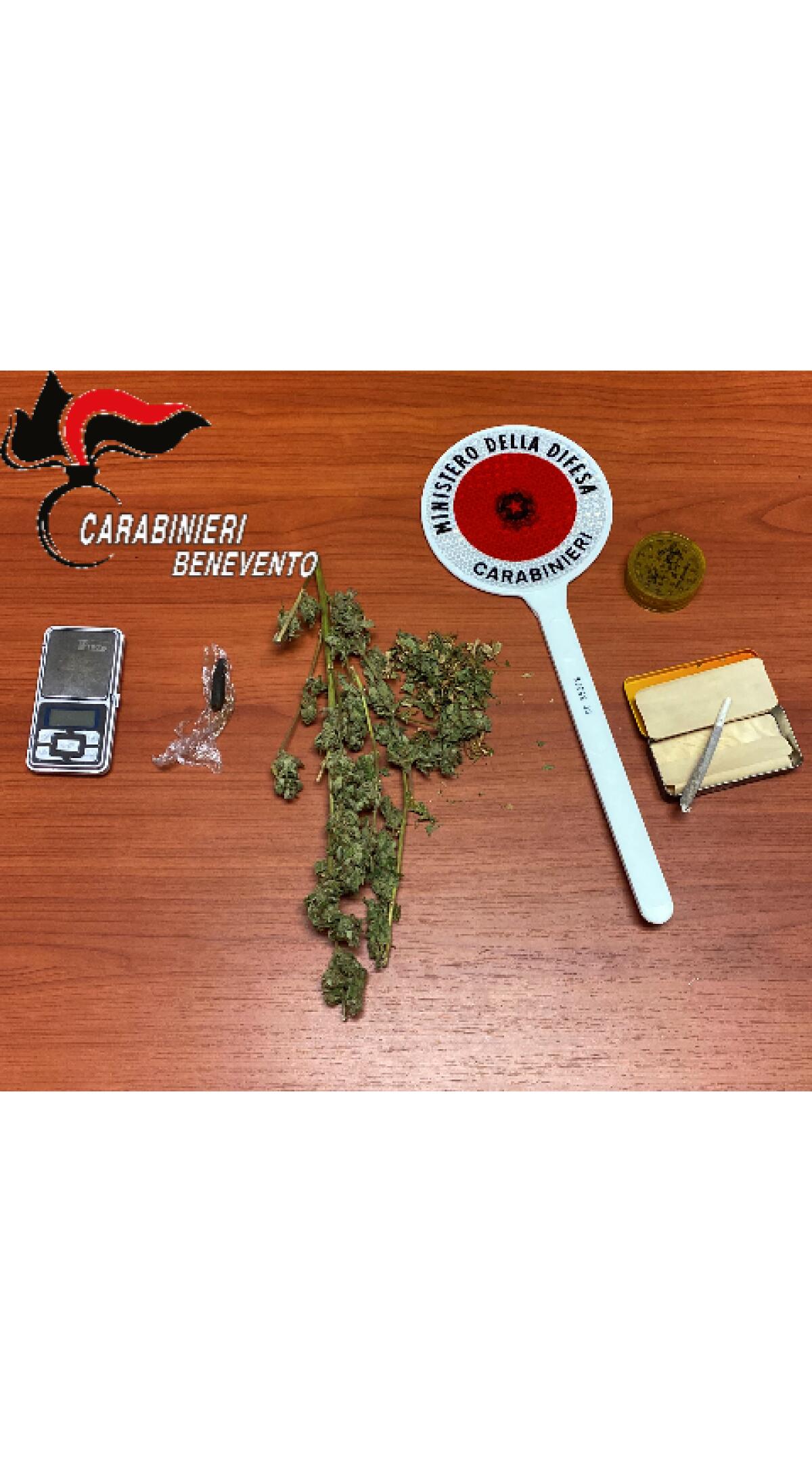 Scoperta una serra artigianale per la coltivazione della marijuana, denunciato un 60enne. - 