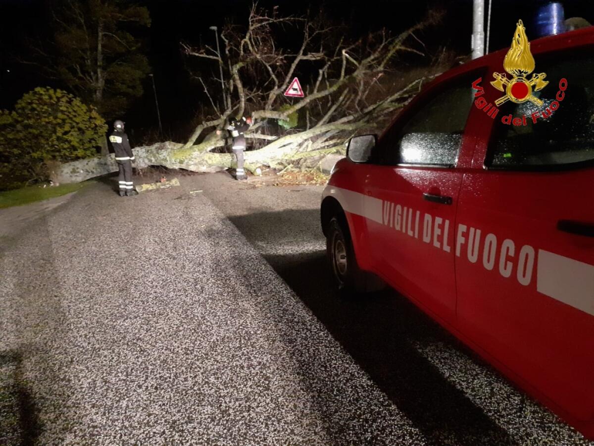 Maltempo. Diversi interventi dei Vigili del Fuoco di Avellino. - 