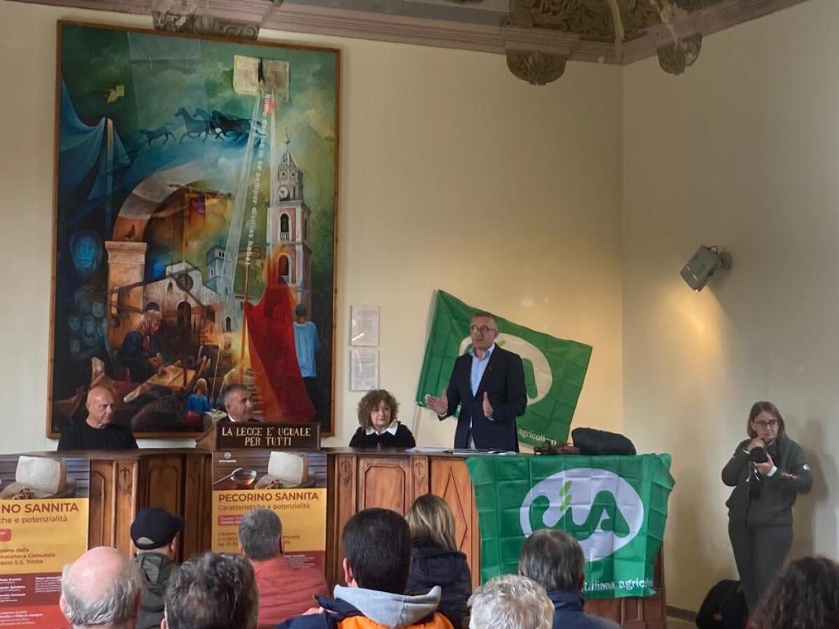 Cia Campania, il Pecorino Sannita ha bisogno di 6 mesi di stagionatura per essere gustato - 