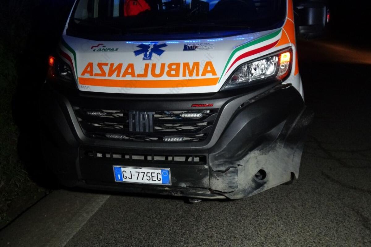 Ambulanza del 118 allertata per un soccorso investe cinghiale. - 