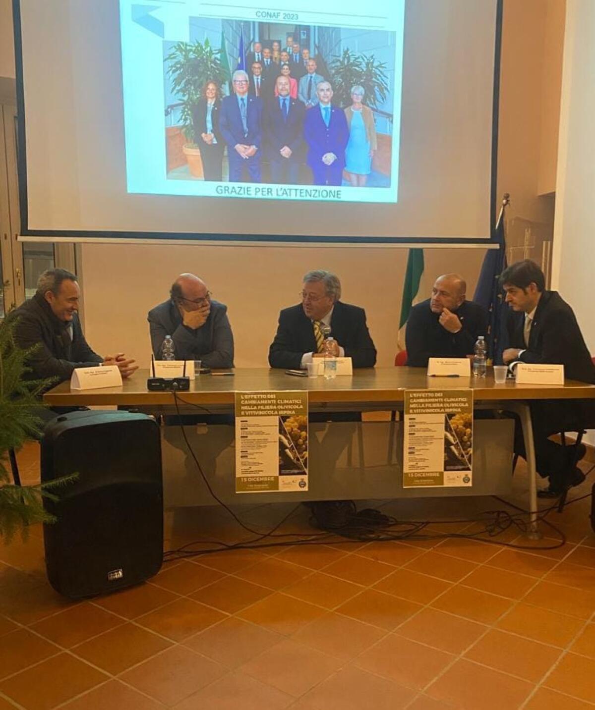 Filiera olivicola e vitivinicola, annate difficili a causa dei cambiamenti climatici.  - 