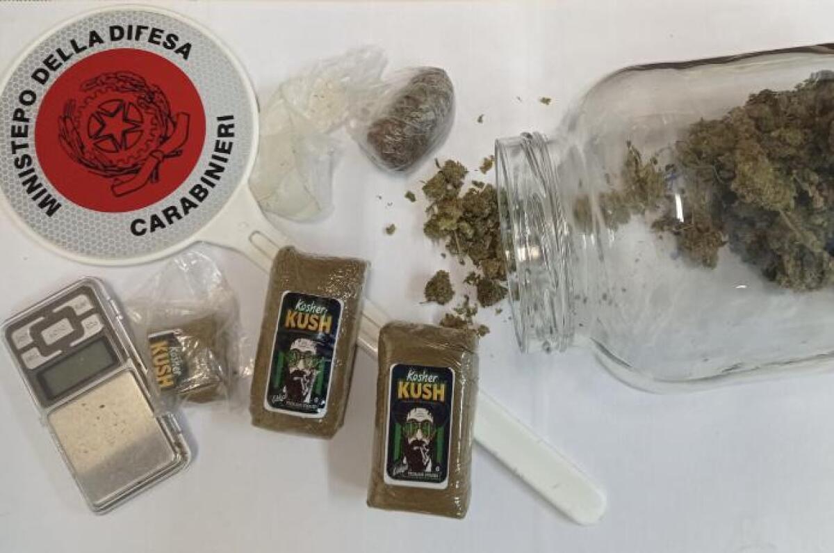 Ponte. 28enne nell'attività commerciale spacciava hashish e marijuana - 