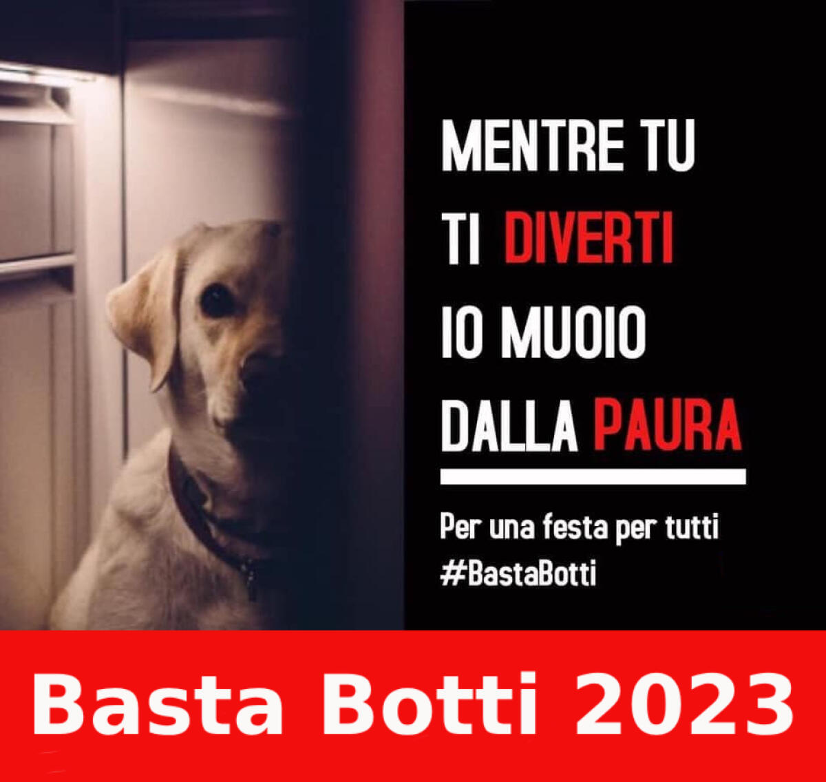 Partita la Campagna “Basta Botti 2023” - 
