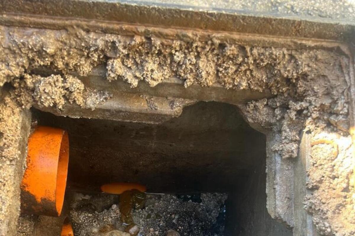 Blitz Cc nel Casertano,in casa genitori, bimbi e 400 grammi coca - 