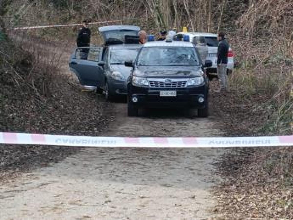 Treviso, cadavere nel bosco con ferite d'arma da taglio - 
