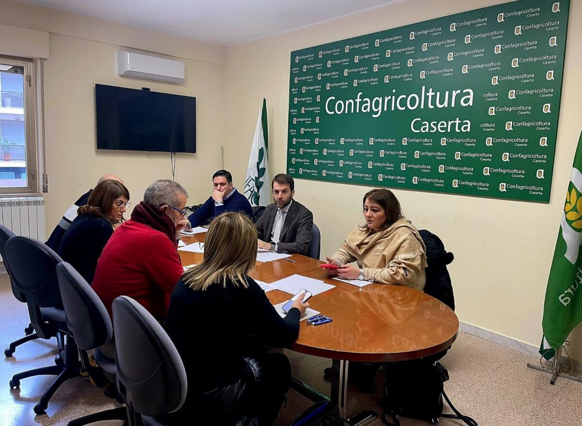 Confagricoltura Caserta, rinnovo contratto lavoratori agricoli - 