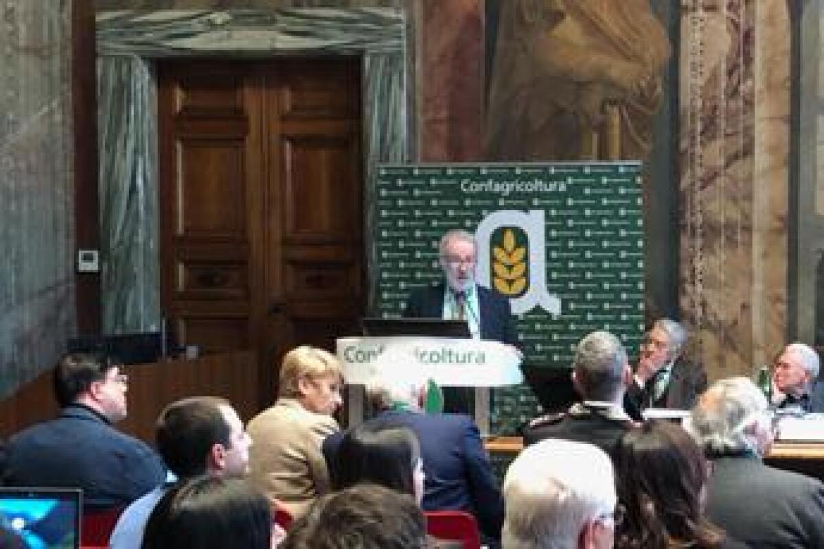 Alimenti, Poli (Nfi): "Rischio malattie da carne rossa? Da studi visione semplificata" - 