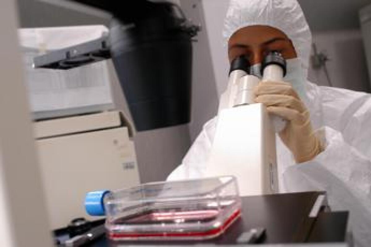 Scoperta nuova cellula del sistema immunitario: possibili implicazioni in lotta al cancro - 