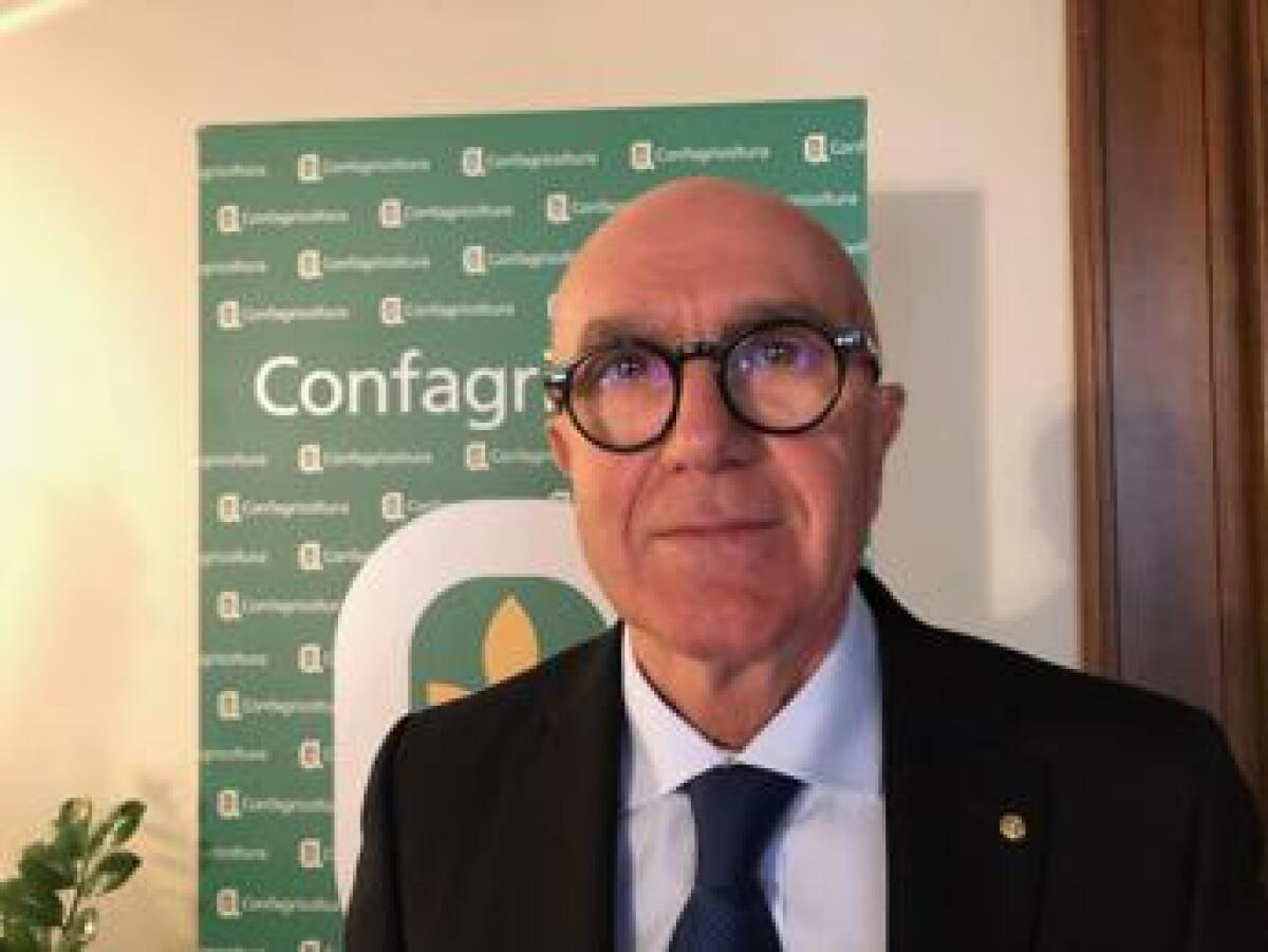 Alimenti, Pulina (Uniss): "Proteine animali indispensabili nella nostra dieta" - 