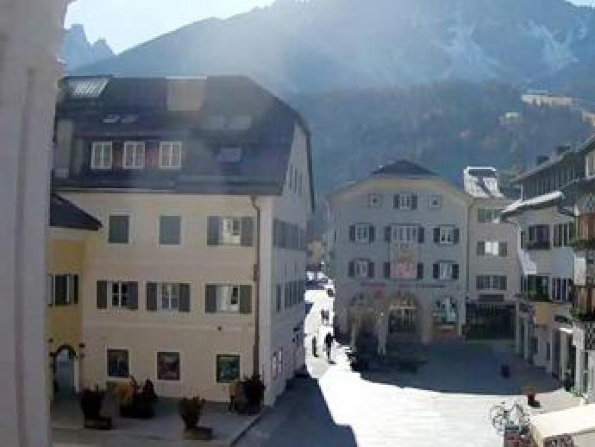 Bolzano, test Dna ai cani per lotta a escrementi in strada: la storia finisce sul Guardian - 