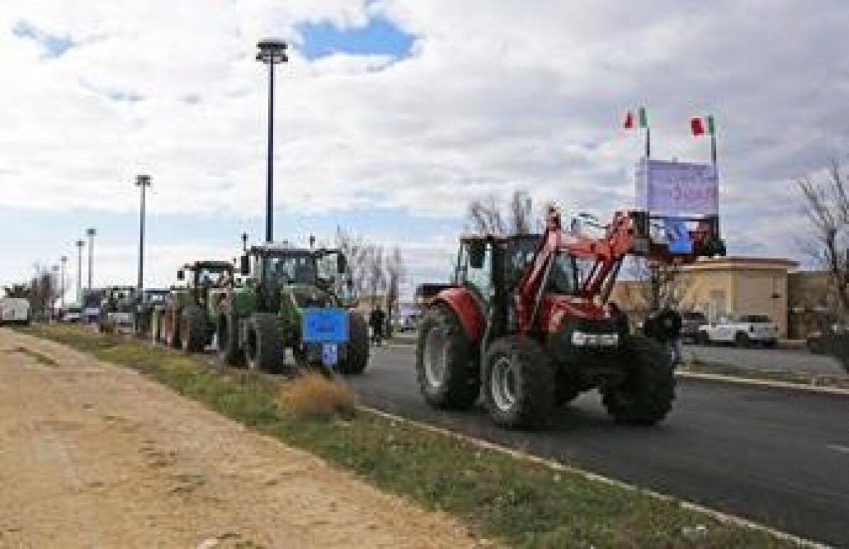 Protesta degli agricoltori, frutta e verdura prima gettata per protesta e poi regalata ad automobilisti - 
