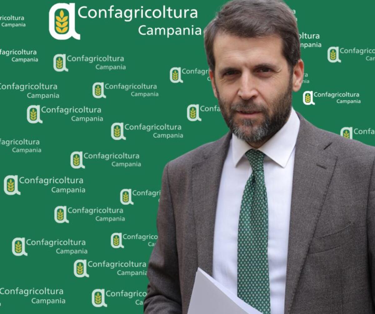 Confagricoltura Campania, Paolo Conte nuovo direttore regionale. - 