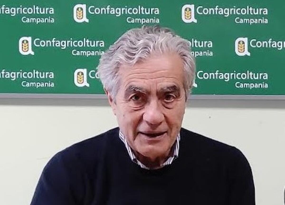 Confagricoltura Campania, Pac inadeguata. - 
