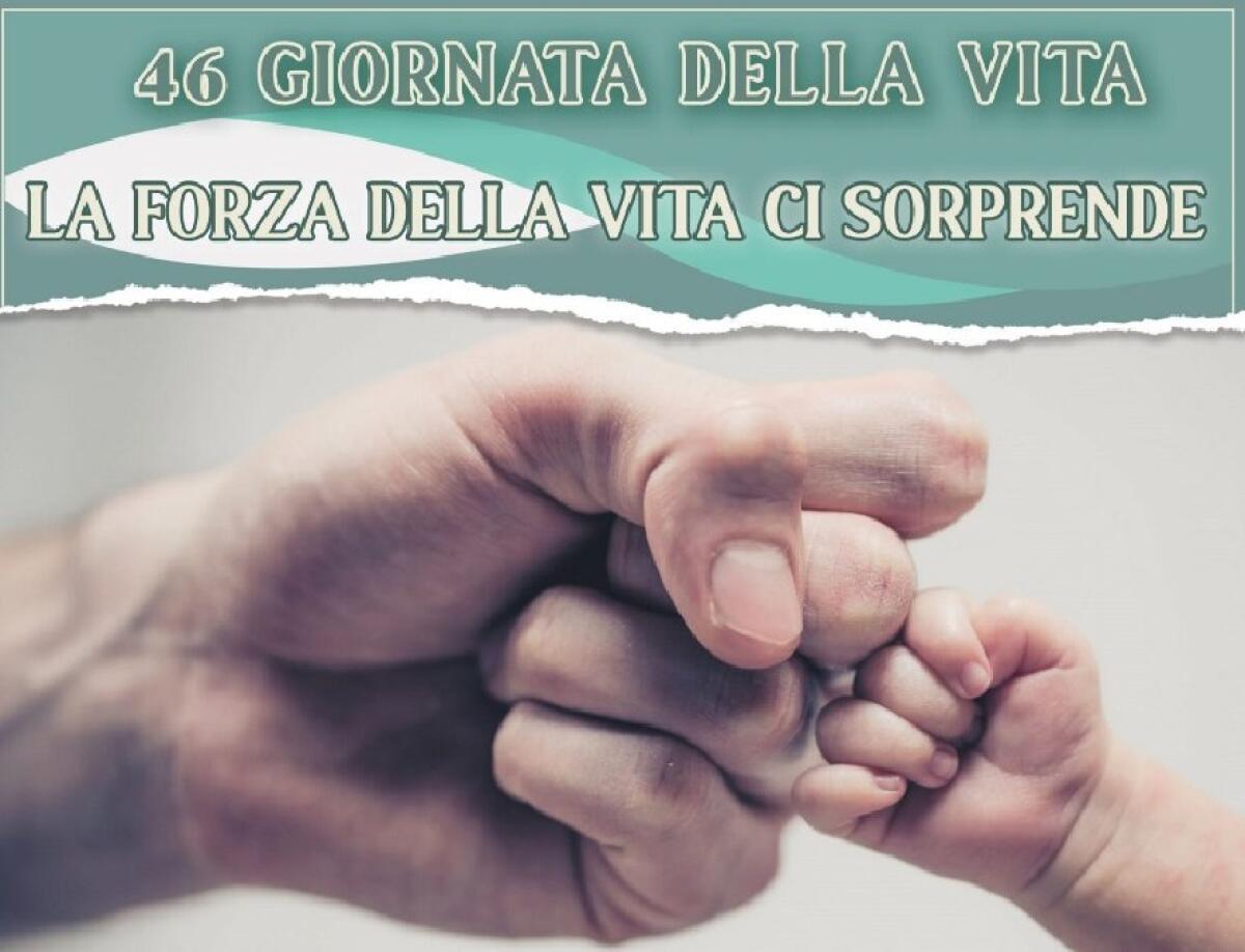 1800 primule per la Vita - 