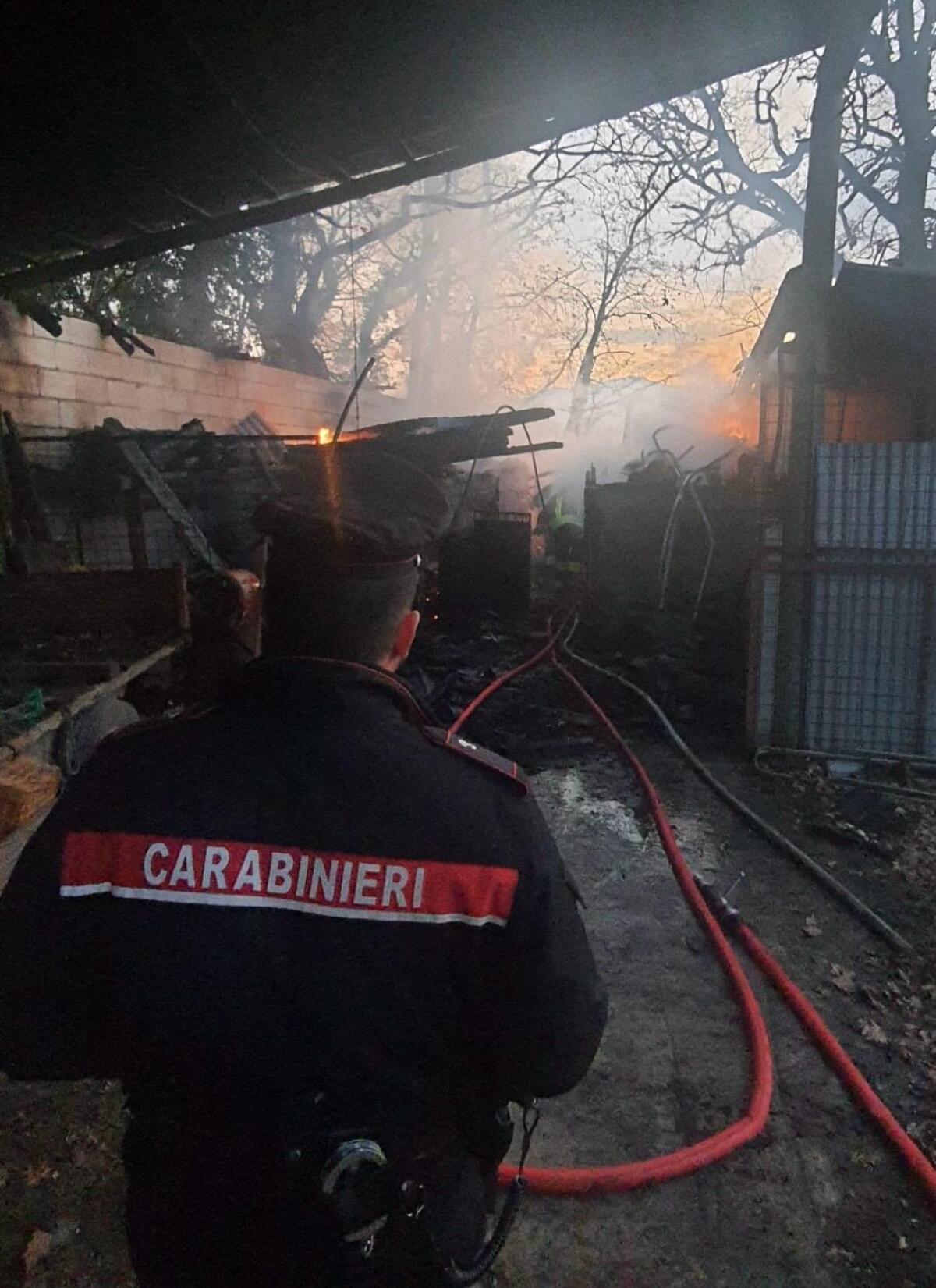 Fontanarosa. In fiamme un deposito agricolo, indagini in corso. - 