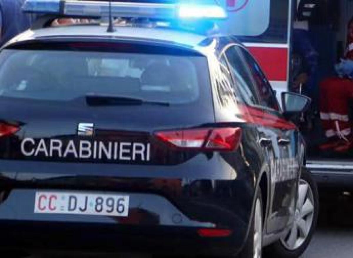 Aggredito e ucciso da tre cani Rottweiler mentre faceva jogging nel bosco - 