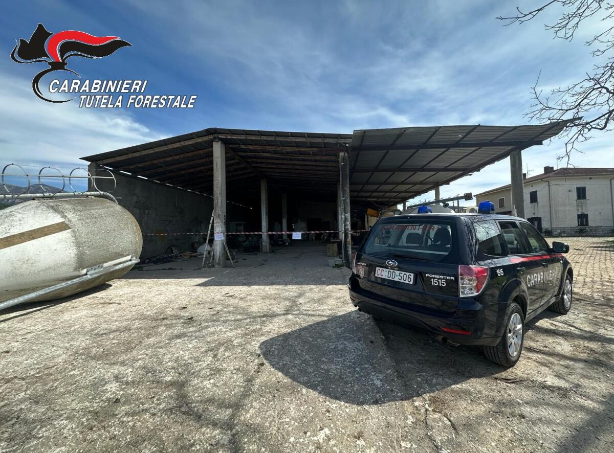 Sequestrato un opificio a San Salvatore Telesino. - 