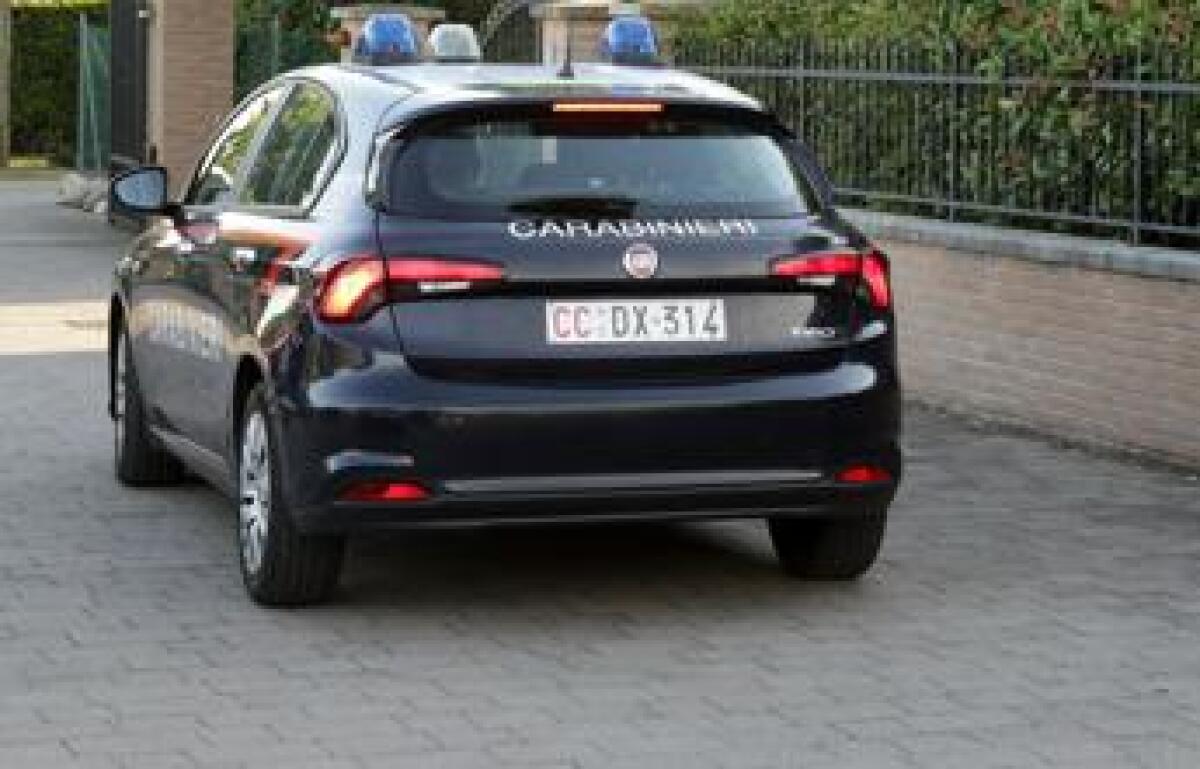 Tenta di avvelenare la madre, lei lo scopre e lo fa arrestare - 