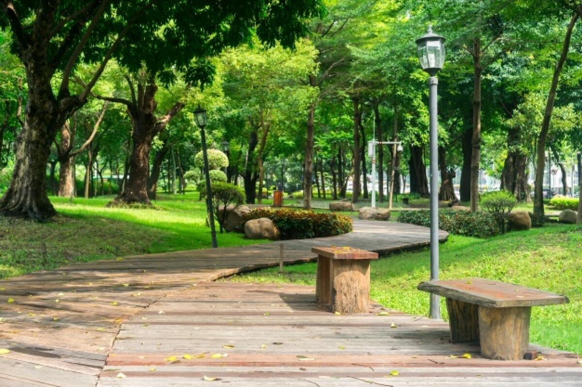 Mille piante saranno piantumate a Parco De Mita. - 