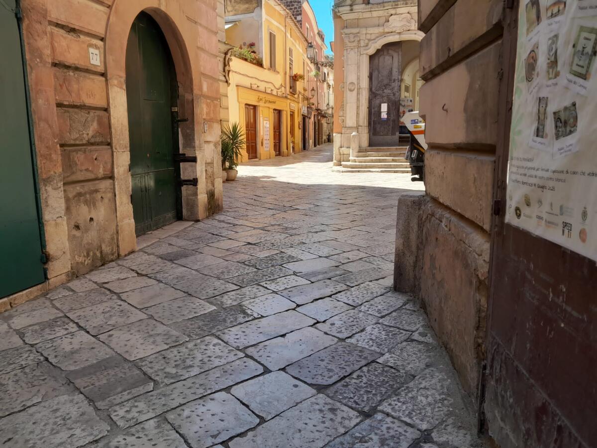 Sant'Agata de' Goti. Progetto “Futuro nel Verde” Ama la tua città. - 