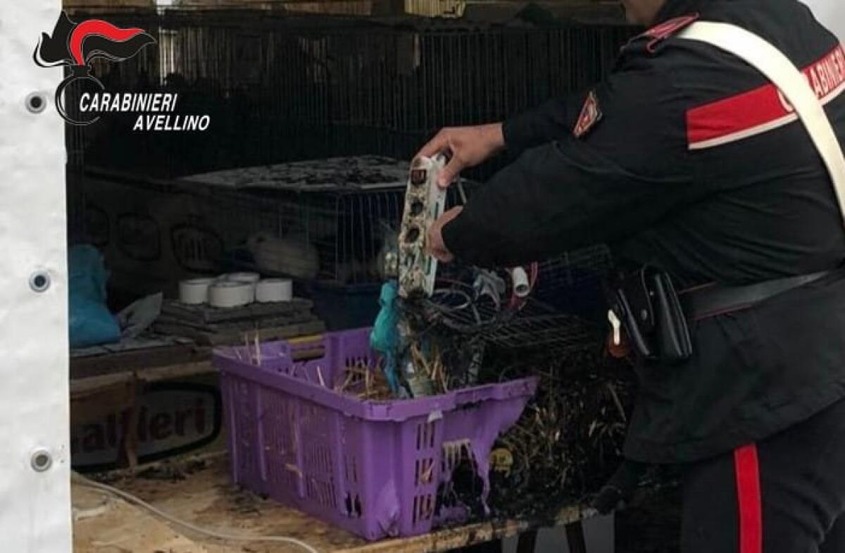 Fiamme in uno stand della Fiera di Venticano - 