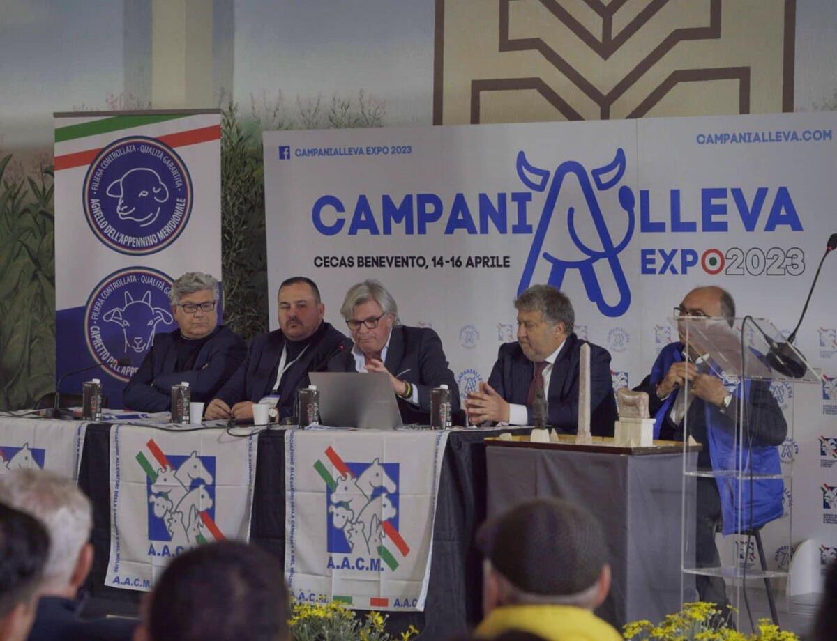 CampaniAlleva Expo 2024, è tutto pronto. - 