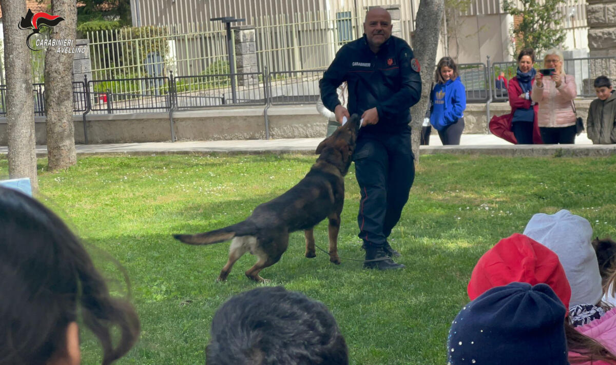 Lacedonia. “Neo” il cane carabiniere protagonista di una giornata con gli studenti  - 