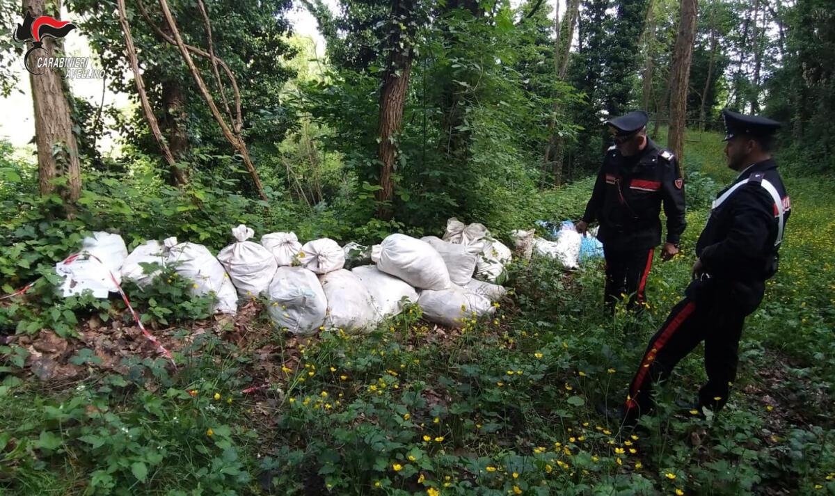 Scarti di lavorazione tessile in terreno privato, denunciato imprenditore - 