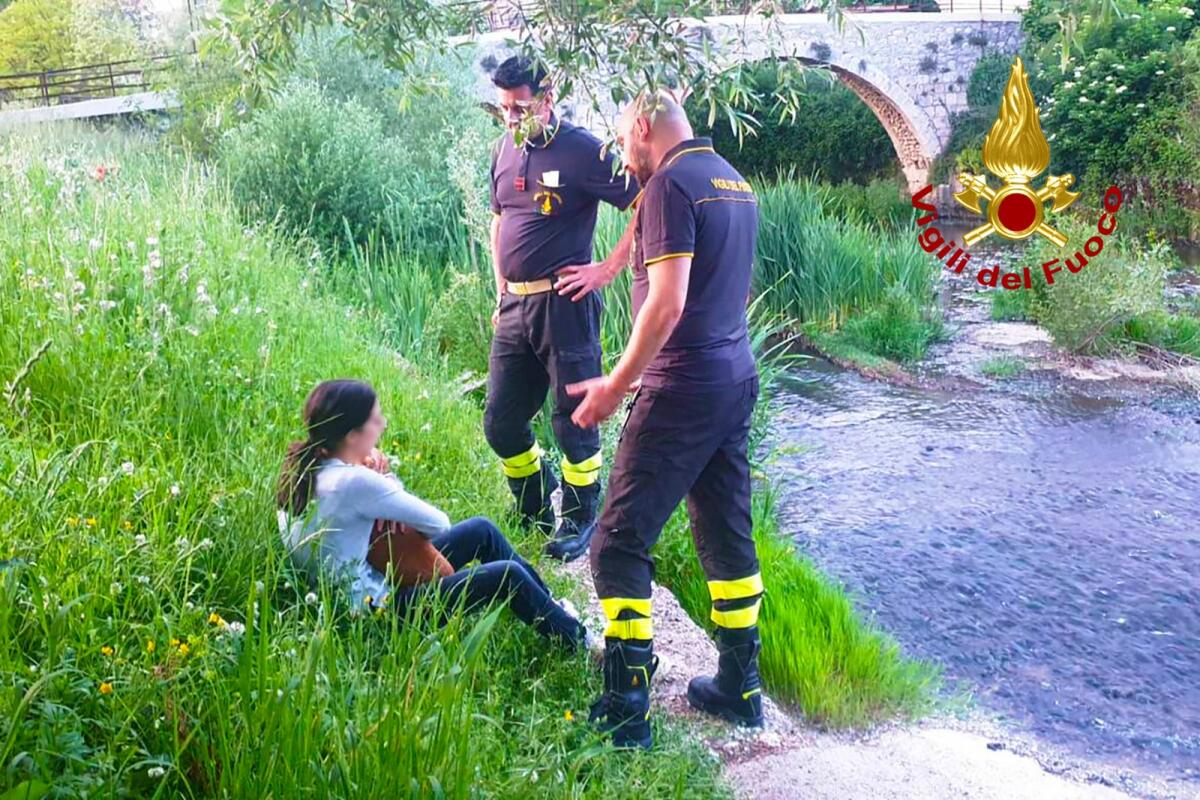 Vigili del fuoco salvano cagnolino finito nel fiume Ofanto - 