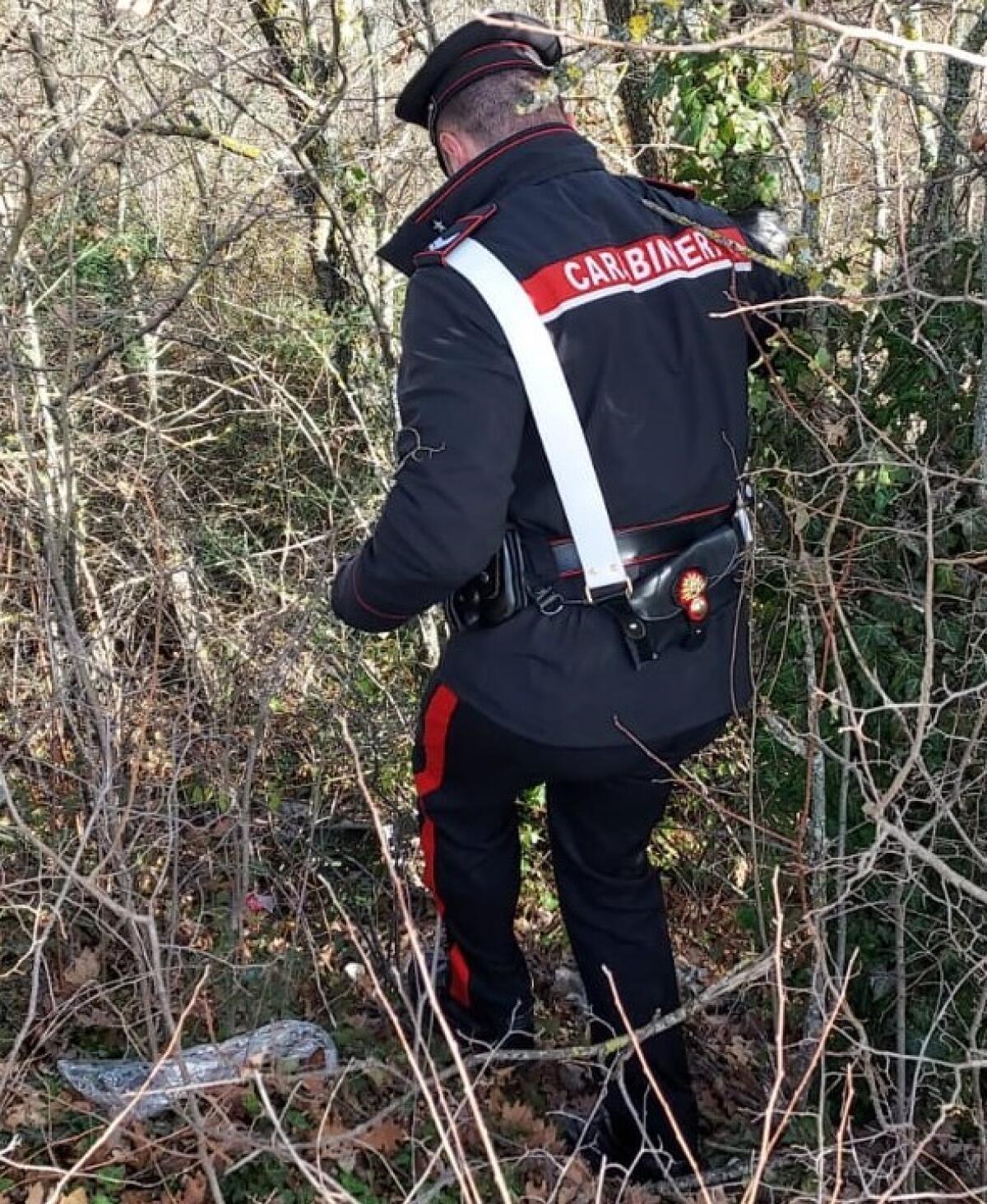 Ripreso dalle telecamere mentre abbandona rifiuti in area protetta - 