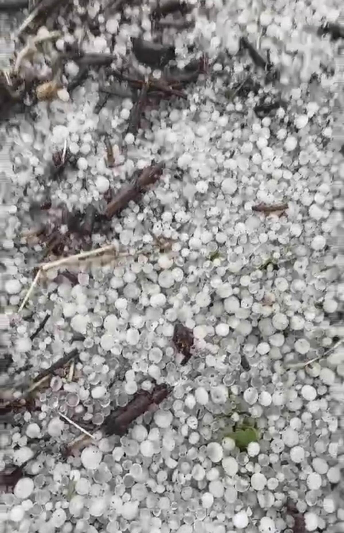 Una violenta grandinata si abbatte su Castelvenere - 