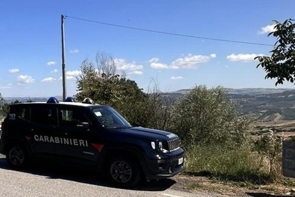 Fatto brullare residuato bellico rinvenuto da un agricoltore - 