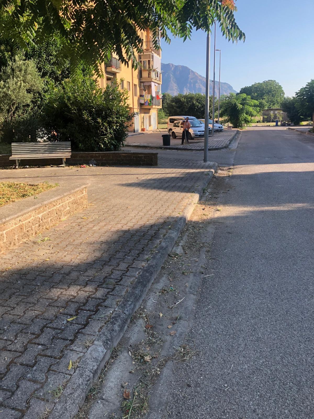 Cervinara. Prosegue attività di cura e manutenzione del verde pubblico - 