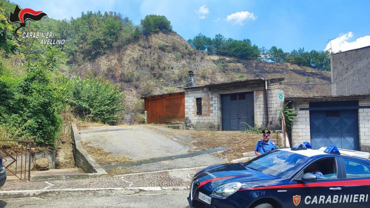 Fiamme in un'area boschiva a Luogosano - 
