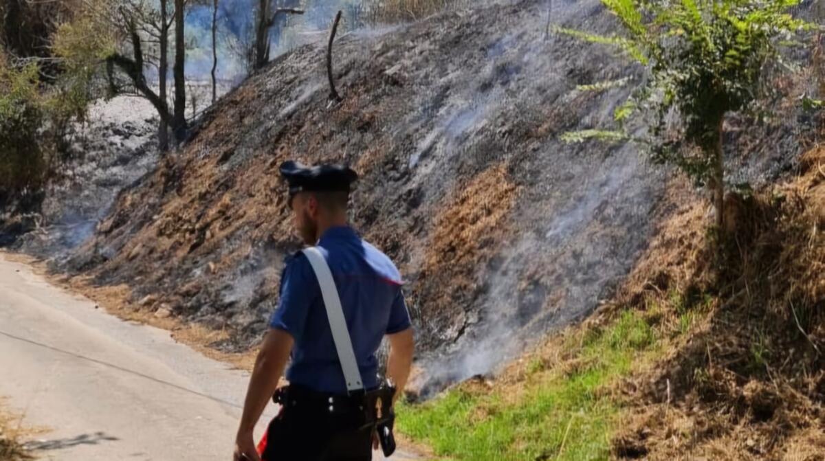 Incendio interessa anche una roulotte, paura a Montemiletto - 