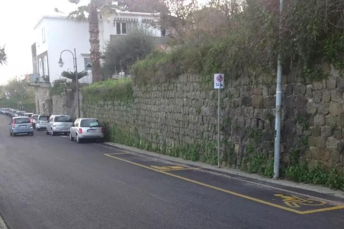 Denigrati per avere difeso posto auto disabili - 
