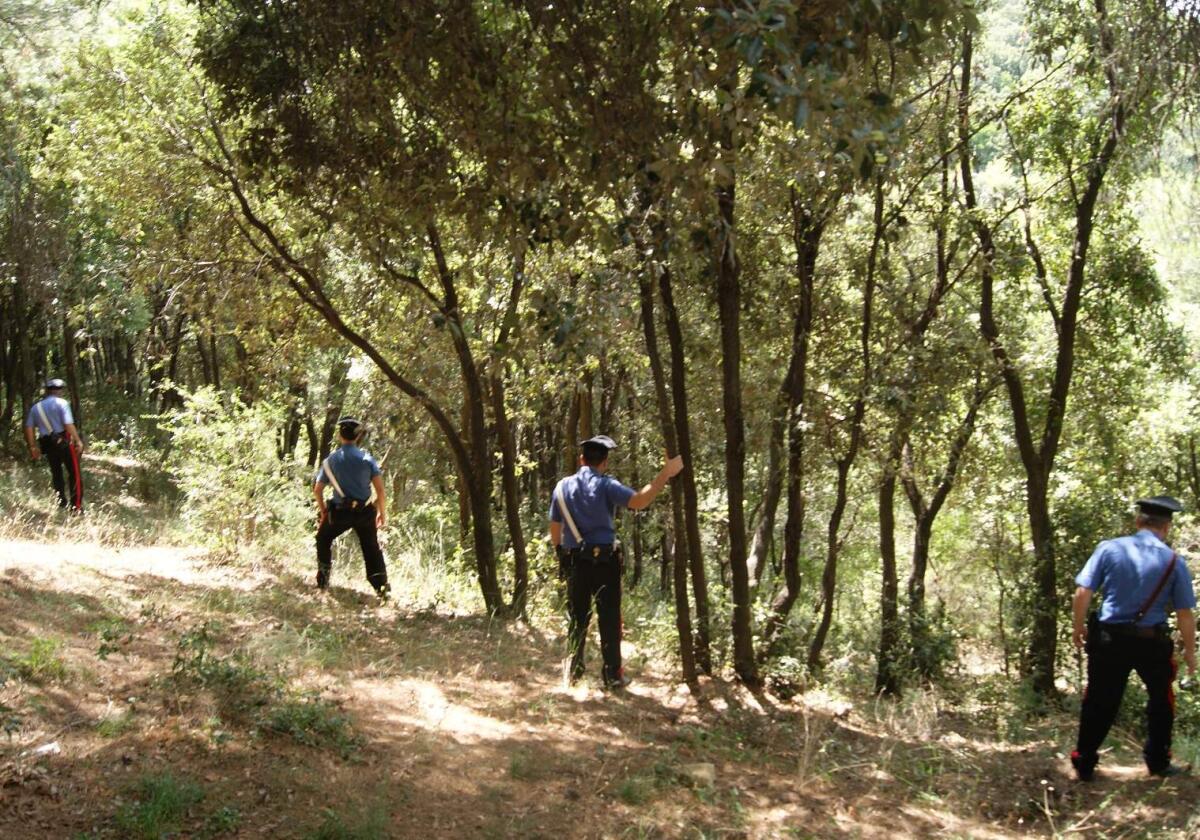In cerca di funghi, perde l’orientamento: rintracciato dai Carabinieri di Senerchia. - 