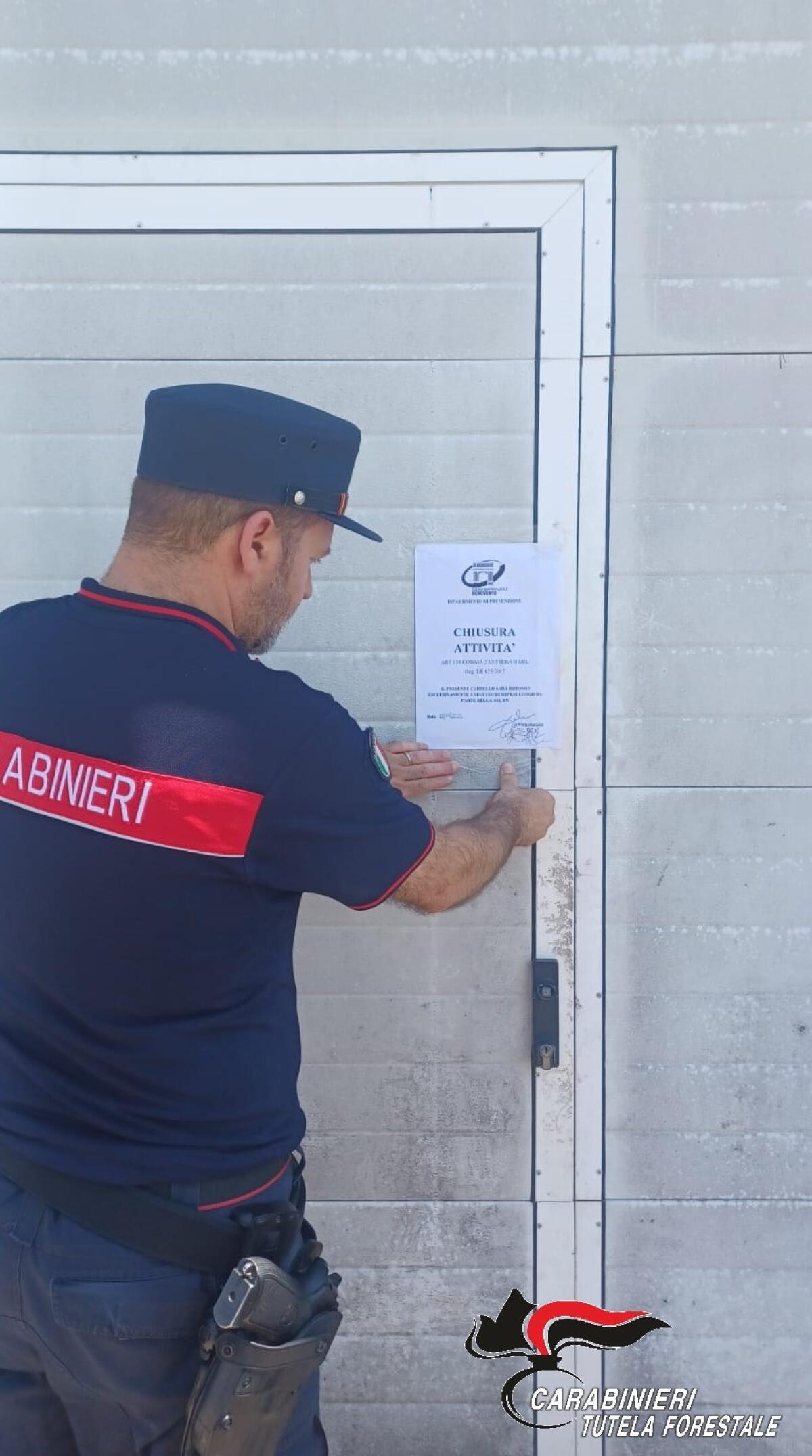 Prodotti scaduti, chiusa un'azienda di prodotti da forno ad Apice - 