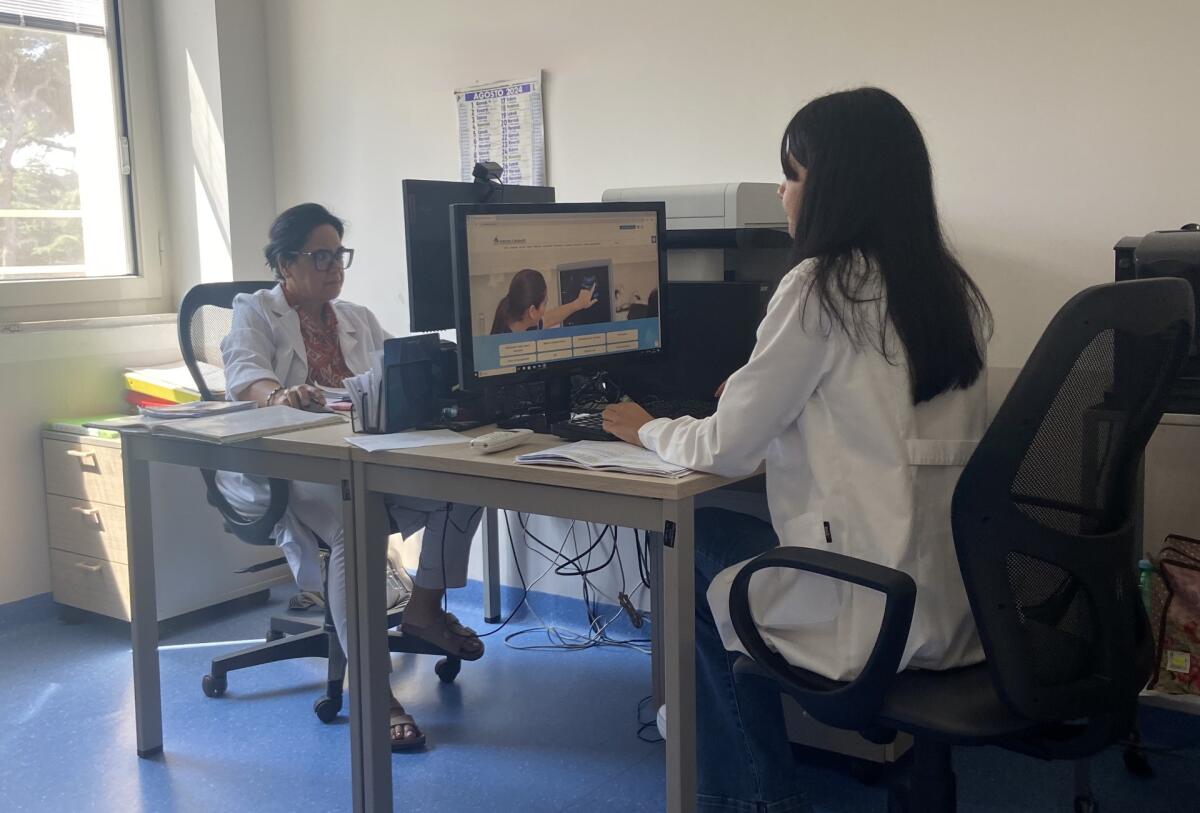 Ragno violino, al Centro Antiveleni del Cardarelli anche 20 chiamate al giorno. - 