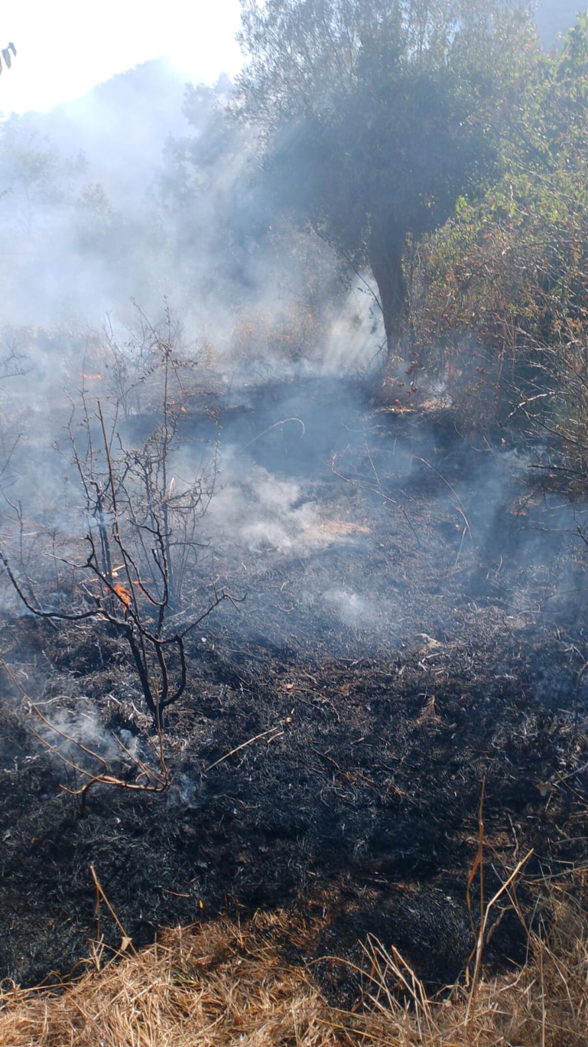 Moiano. Incendio minaccia abitazioni - 