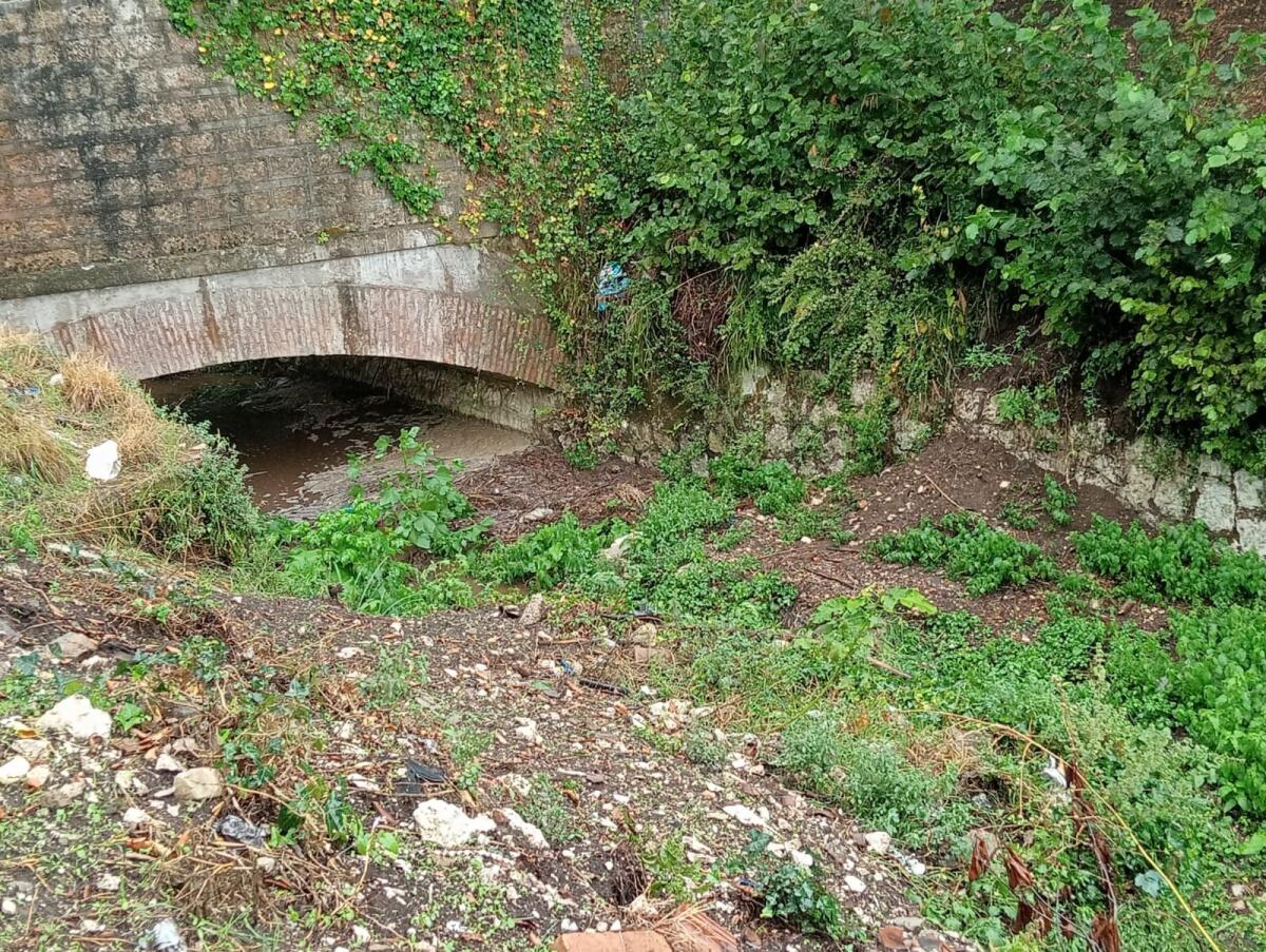 Cervinara. Vallone Pirozza, il letto del torrente ostruito da vegetazione e rifiuti. - 