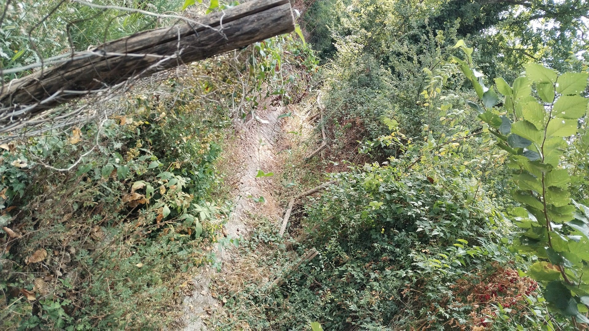 Cervinara. Sentiero per l'Eremo di San Biagio impraticabile.