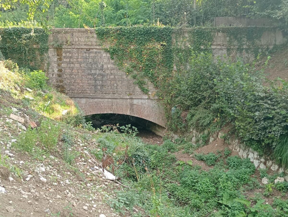 Cervinara. Pulizia fiumi: "Diamoci una mossa, non stiamo a pettinare le bambole" - 
