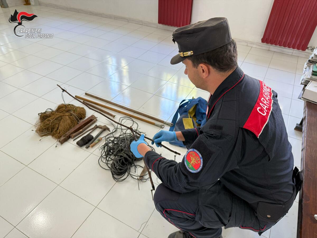 Uccellagione e bracconaggio, denunciato un 35enne. - 