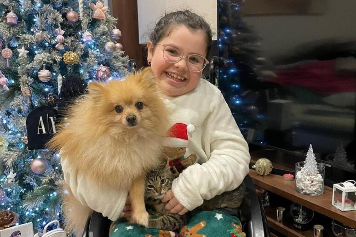 Rubano il cane di una ragazzina disabile, l'appello del padre - 